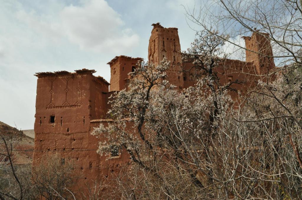 Kasbah Tigmi N'Oufella Bed and Breakfast Telouet Εξωτερικό φωτογραφία
